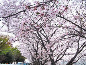 牛窓福岡屋理旅館