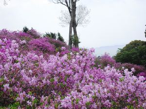 牛窓福岡屋旅館