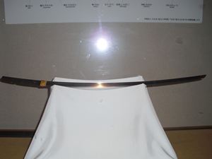 CIMG1368_R.JPG