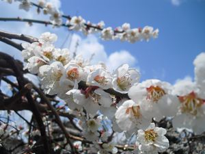 牛窓福岡屋旅館