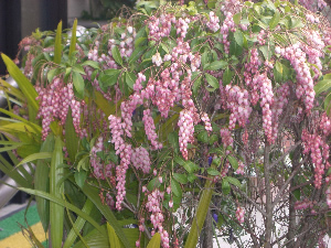 牛窓福岡屋旅館