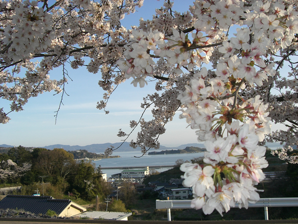 牛窓福岡屋旅館