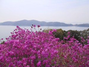 牛窓福岡屋旅館