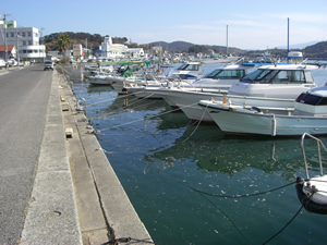 春の海　ひねもす　のたり　のたりかな